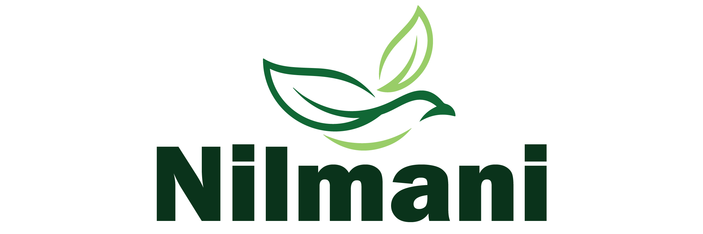 nilmaniayurveda.com
